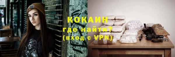 шишки Алексеевка