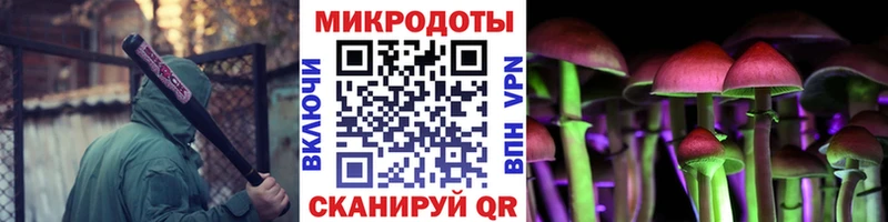 mega сайт Краснообск Псилоцибиновые грибы Psilocybine cubensis даркнет сайт